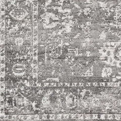 Tripp Distressed Gray Rug - Ornate Home