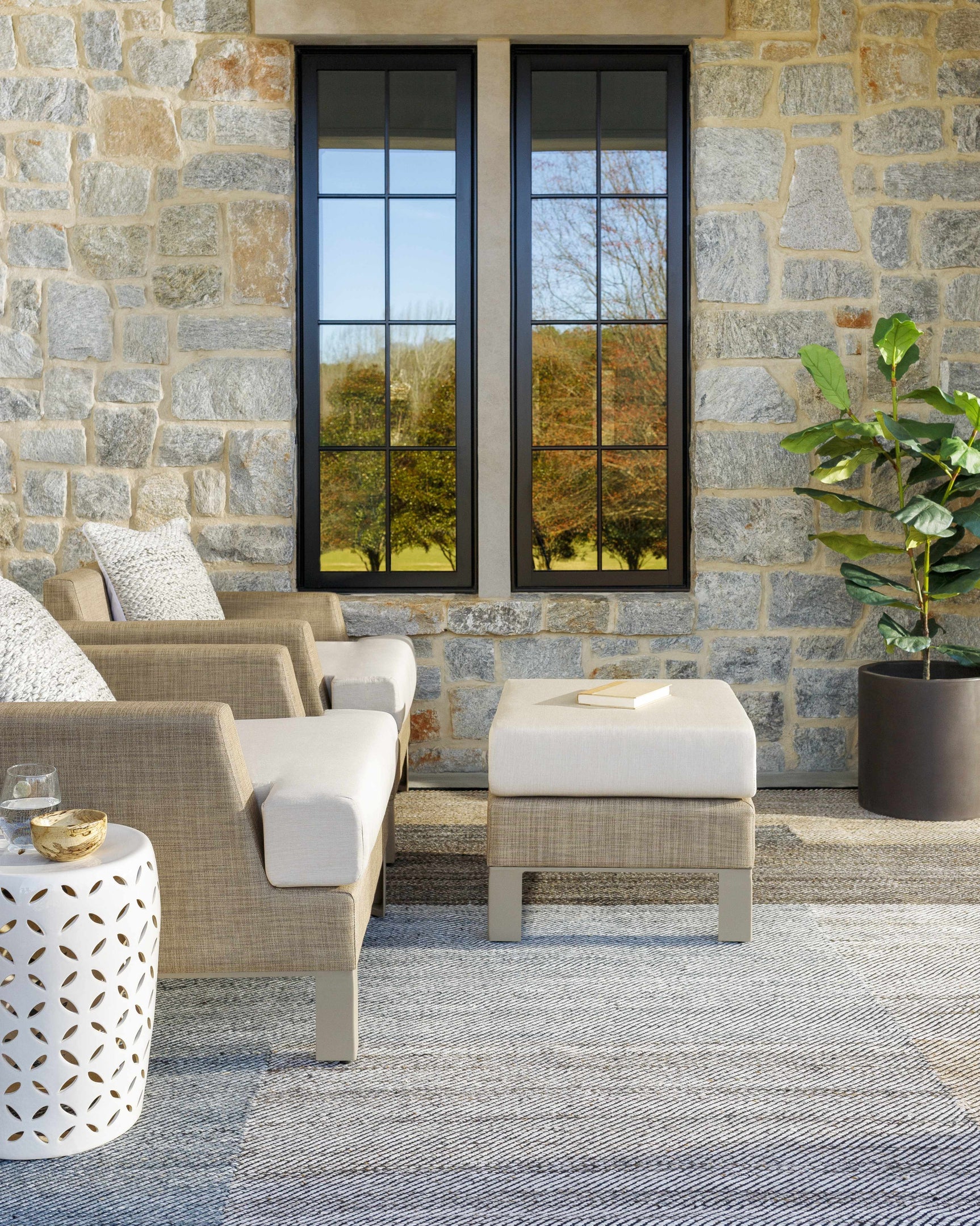 Trish Area Rug - Ornate Home