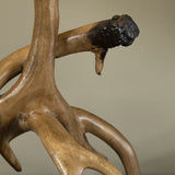 Trophy Brown Table Lamp (Set of 2) - Ornate Home