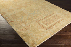 Troy Area Rug - Clearance - Ornate Home
