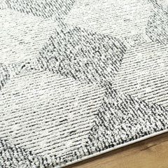Truda Area Rug - Clearance - Ornate Home