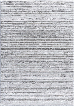 Trude Shag Area Rug - Clearance - Ornate Home