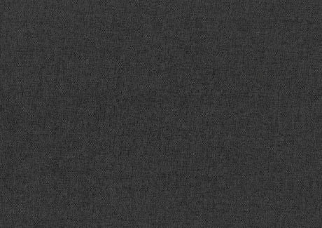 Trudy Dark Gray Daybed with Trundle - Ornate Home