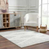 Trunding Plush Area Rug in Gray - Ornate Home