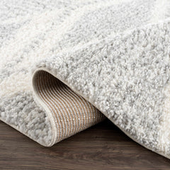 Trunding Plush Area Rug in Gray - Ornate Home