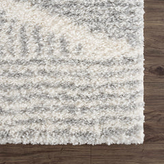 Trunding Plush Area Rug in Gray - Ornate Home