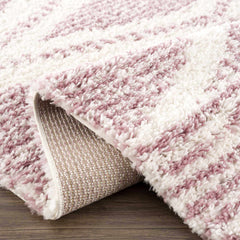 Trunding Plush in Pink Area Rug - Clearance - Ornate Home