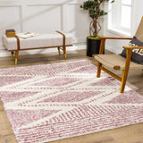Trunding Plush in Pink Area Rug - Clearance - Ornate Home