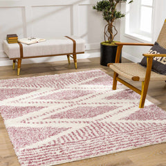 Trunding Plush in Pink Area Rug - Clearance - Ornate Home
