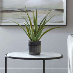Tucson Black/Green Aloe Planter - Ornate Home