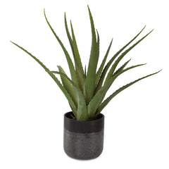 Tucson Black/Green Aloe Planter - Ornate Home