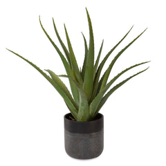 Tucson Black/Green Aloe Planter - Ornate Home