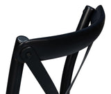 Tuileries Gardens Black Side Chair (Set of 2) - Ornate Home