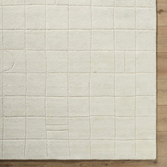 Tuuka Silver Beige Area Rug - Clearance - Ornate Home