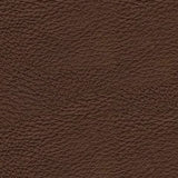 Dreamer Brown Power Reclining Loveseat with Audio Seating