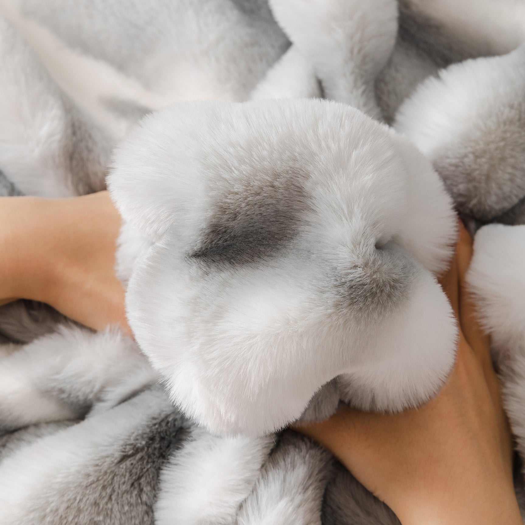 Ultra Soft Faux Fur Couch Cover – Large, Fluffy, and Elegant Sofa Throw Blanket - Ornate Home