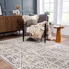 Umay Textured Beige Rug - Clearance - Ornate Home