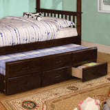 University Dark Walnut Twin Trundle w/ 3 Drawers - Ornate Home