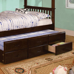 University Dark Walnut Twin Trundle w/ 3 Drawers - Ornate Home