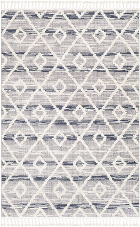 Upham High/Low Pile Rug with Tassels - Clearance - Ornate Home