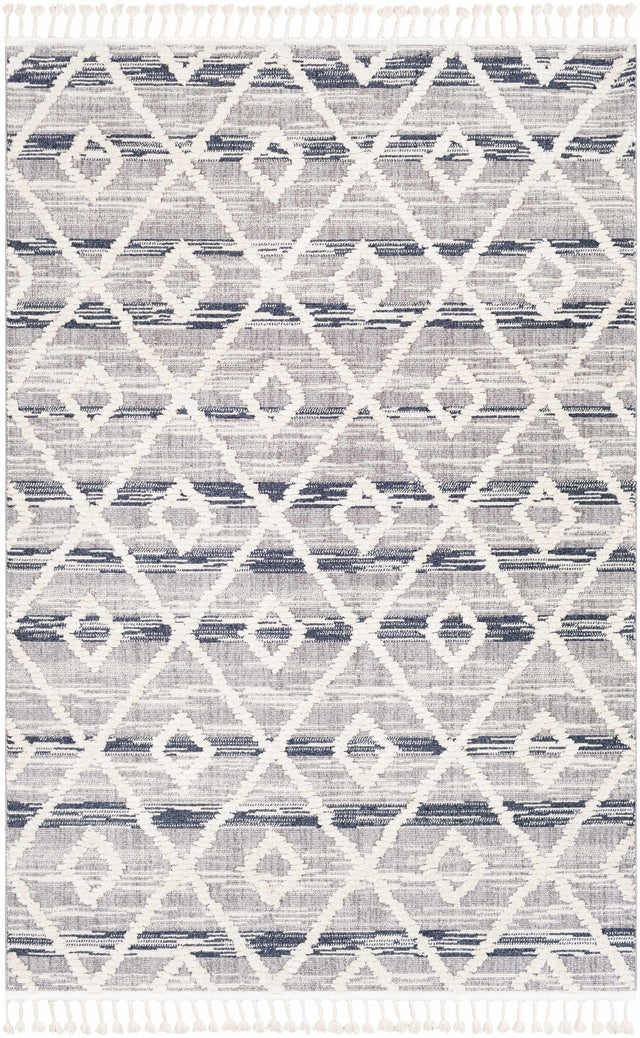Upham High/Low Pile Rug with Tassels - Clearance - Ornate Home