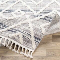 Upham High/Low Pile Rug with Tassels - Clearance - Ornate Home