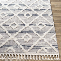 Upham High/Low Pile Rug with Tassels - Clearance - Ornate Home