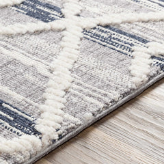 Upham High/Low Pile Rug with Tassels - Clearance - Ornate Home