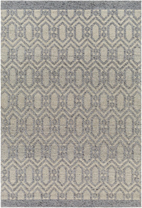 Vahe Area Rug - Clearance - Ornate Home