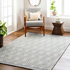 Vahe Area Rug - Clearance - Ornate Home