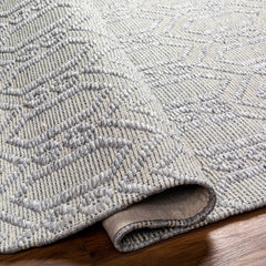 Vahe Area Rug - Clearance - Ornate Home