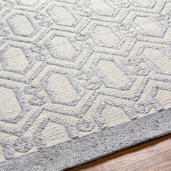 Vahe Area Rug - Clearance - Ornate Home