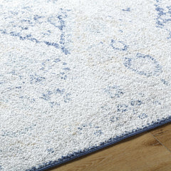 Valin Area Rug - Clearance - Ornate Home