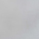 Valkyrie Platinum Side Chair (Set Of 2) - Ornate Home