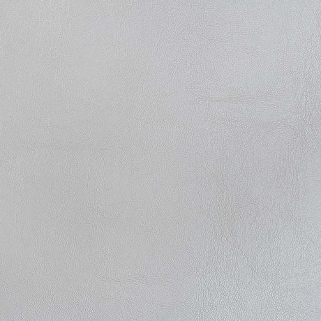 Valkyrie Platinum Side Chair (Set Of 2) - Ornate Home