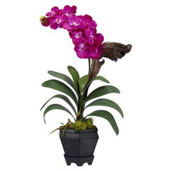 Vanda w/Black Hexagon Vase Silk Arrangement - Ornate Home