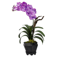 Vanda w/Black Hexagon Vase Silk Arrangement - Ornate Home
