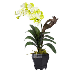 Vanda w/Black Hexagon Vase Silk Arrangement - Ornate Home