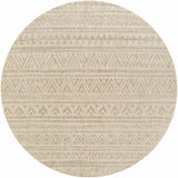 Vanderhoof Indoor & Outdoor Rug - Clearance - Ornate Home