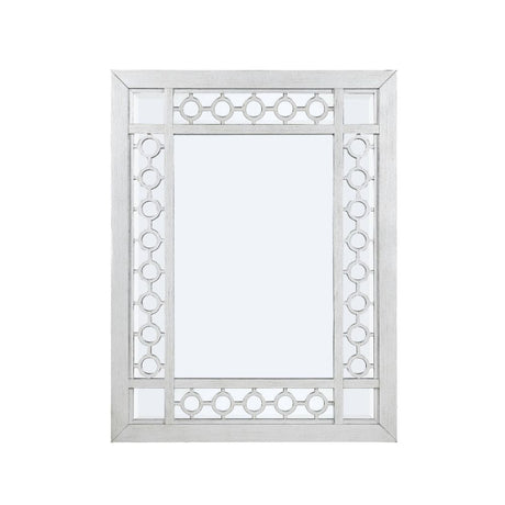 Varian Mirrored & Antique Platinum Mirror - Ornate Home