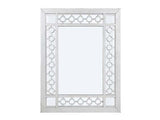 Varian Mirrored & Antique Platinum Mirror - Ornate Home