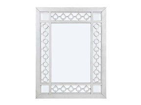 Varian Mirrored & Antique Platinum Mirror - Ornate Home
