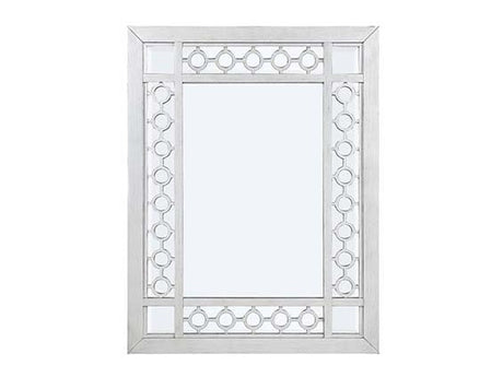 Varian Mirrored & Antique Platinum Mirror - Ornate Home