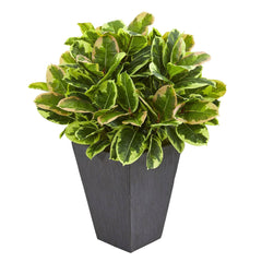 Variegated Rubber Artificial Plant in Slate Planter (Real Touch) - Ornate Home