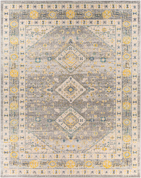 Varnville Area Rug - Clearance - Ornate Home
