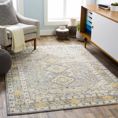 Varnville Area Rug - Clearance - Ornate Home