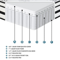 Vela White 12" Queen Hybrid Mattress - Ornate Home