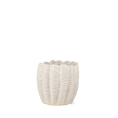 Velia Cream Short Seashell Sculptural Glazed Ceramic Vase - Ornate Home