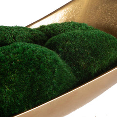 Venice Moss Centerpiece - Ornate Home