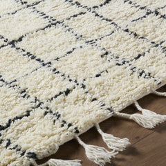 Venya Area Rug - Clearance - Ornate Home